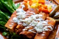 Mexican enchiladas style `Queretanas` Royalty Free Stock Photo