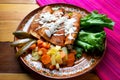 Mexican enchiladas style `Queretanas`