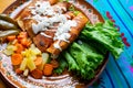 Mexican enchiladas style `Queretanas`