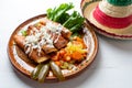 Mexican enchiladas style `Queretanas`