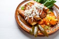 Mexican enchiladas style `Queretanas`