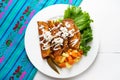 Mexican enchiladas style `Queretanas`