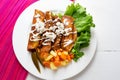 Mexican enchiladas style `Queretanas`