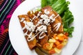 Mexican enchiladas style `Queretanas`