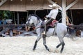 Mexican Equestrian with a magnificent exhibition of the Aztec horse running lasso of great lineage