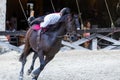 Mexican equestrian with a magnificent exhibition of the running lasso changing position to lying on an Aztec horse.