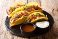 Mexican fast food tacos with glazed chicken, microgreen and vegetables served with sauces close-up on a slate boarde. horizontal Royalty Free Stock Photo