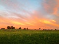 Mexican field at sunset Royalty Free Stock Photo