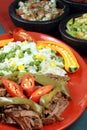 Mexican fiesta meat plate Royalty Free Stock Photo