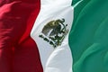 Mexican Flag Royalty Free Stock Photo