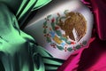 Mexican flag, independence day, cinco de mayo celebration Royalty Free Stock Photo