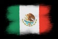 The Mexican flag Royalty Free Stock Photo