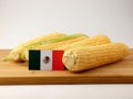 Mexican flag on a wooden panel with corn isolated on a white bac Royalty Free Stock Photo