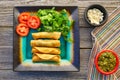 Mexican flautas rolled tacos with salsa