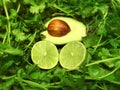 Mexican food avocado lime cilantro vegetable and fruit plant ingredients for cuisine fiesta