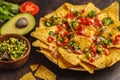 Mexican food concept. Nachos - yellow corn totopos chips with va Royalty Free Stock Photo