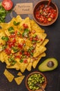 Mexican food concept. Nachos - yellow corn totopos chips with va Royalty Free Stock Photo