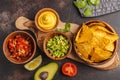 Mexican food concept. Nachos - yellow corn totopos chips with va Royalty Free Stock Photo