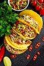 Mexican food - delicious taco shells with ground beef and home made salsa Royalty Free Stock Photo