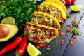 Mexican food - delicious taco shells with ground beef and home made salsa Royalty Free Stock Photo