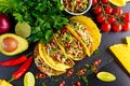 Mexican food - delicious taco shells with ground beef and home made salsa Royalty Free Stock Photo