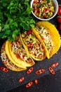 Mexican food - delicious taco shells with ground beef and home made salsa Royalty Free Stock Photo