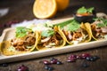 Mexican food fish taco Royalty Free Stock Photo