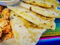 Mexican food mix colorful background, guacamole, cochinita pibil, flautas and quesadilla. Royalty Free Stock Photo