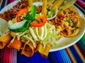 Mexican food mix colorful background, guacamole, cochinita pibil, flautas and quesadilla. Royalty Free Stock Photo