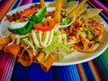 Mexican food mix colorful background, guacamole, cochinita pibil, flautas and quesadilla. Royalty Free Stock Photo