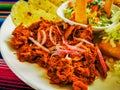 Mexican food mix colorful background, guacamole, cochinita pibil, flautas and quesadilla. Royalty Free Stock Photo