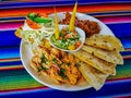 Mexican food mix colorful background, guacamole, cochinita pibil, flautas and quesadilla. Royalty Free Stock Photo