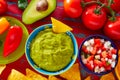 Mexican food nachos guacamole pico gallo cheese Royalty Free Stock Photo