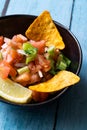 Mexican Food Pico De Gallo Salsa Salad with Tortilla Nachos, Tomato, Onion, Lime, Cilantro, Parsley, Jalapeno Pepper Royalty Free Stock Photo