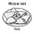 Mexican food Tacos. Hand drawn black and white vector illustration in doodle style