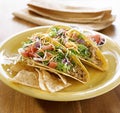 Mexican Food - Tacos on a platter with tortillas