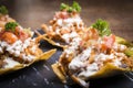 Mexican food tostades, quesadillas Royalty Free Stock Photo