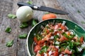 Mexican fresh sauce `pico de gallo` Royalty Free Stock Photo