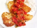 Mexican Fried Fish Royalty Free Stock Photo