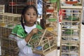Mexican girl with birds Royalty Free Stock Photo