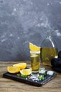 Mexican Gold Tequila in the shot glass with lemon and sea salt on dark table. Royalty Free Stock Photo