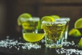 Mexican Gold Tequila shot with lime and salt Royalty Free Stock Photo