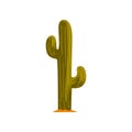 Mexican green cactus vector Illustration on a white background
