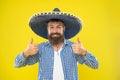 Mexican guy happy festive outfit ready to celebrate. Man bearded cheerful guy wear sombrero mexican hat yellow Royalty Free Stock Photo