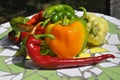 Mexican hot chili peppers colorful mix Royalty Free Stock Photo