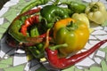 Mexican hot chili peppers colorful mix Royalty Free Stock Photo