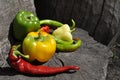 Mexican hot chili peppers colorful mix Royalty Free Stock Photo