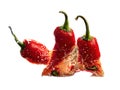 Mexican hot chili peppers colorful mix habanero poblano serrano jalapeno sweet Royalty Free Stock Photo