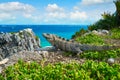 Mexican iguana in Tulum in Riviera Maya