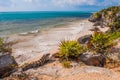 Mexican iguana in Tulum with Caribbean sea of Riviera Maya Mexico, Yucatan